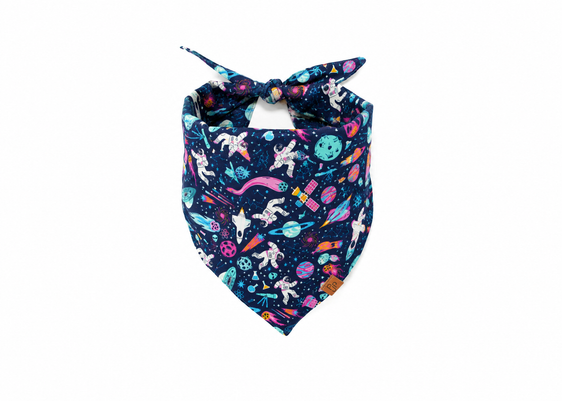 The Newton Bandana
