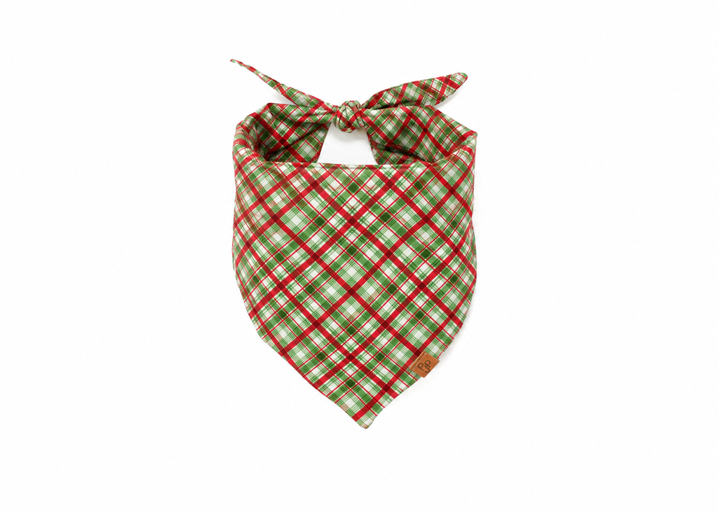 The Nick Bandana