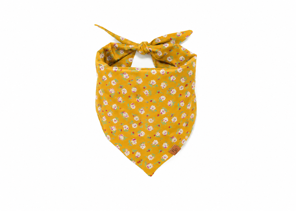 The Renee Bandana