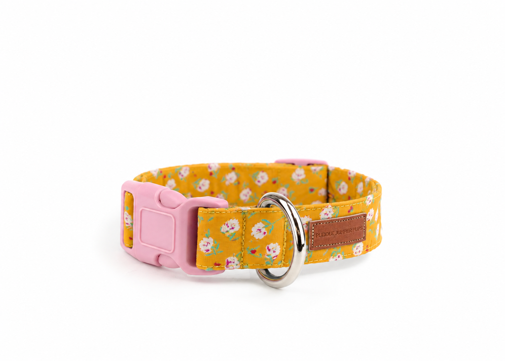 The Renee Collar