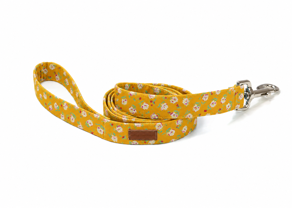 The Renee Leash