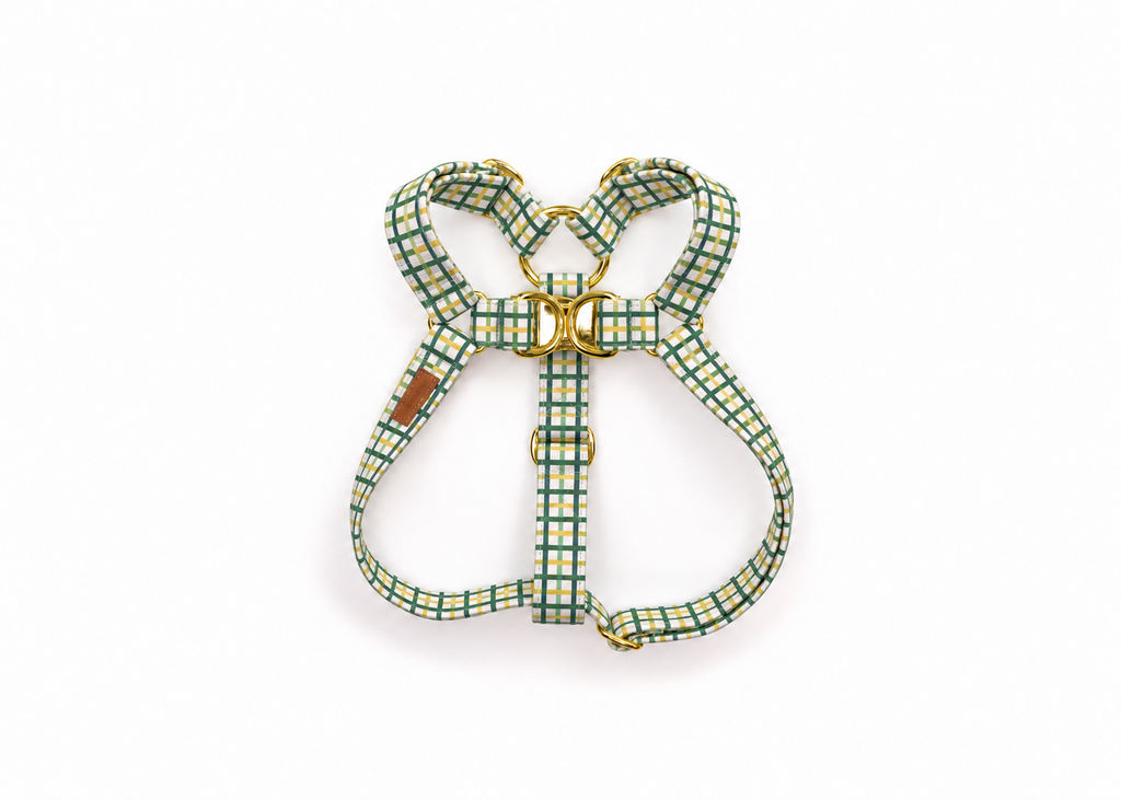 The Rush Harness