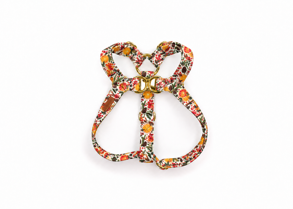 The Simmer Harness