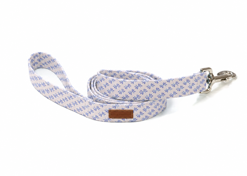 The Simone Leash