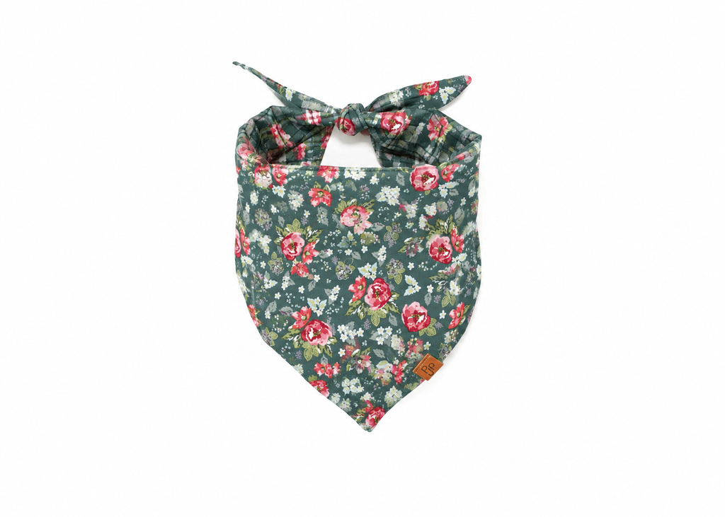 The Sookie Bandana