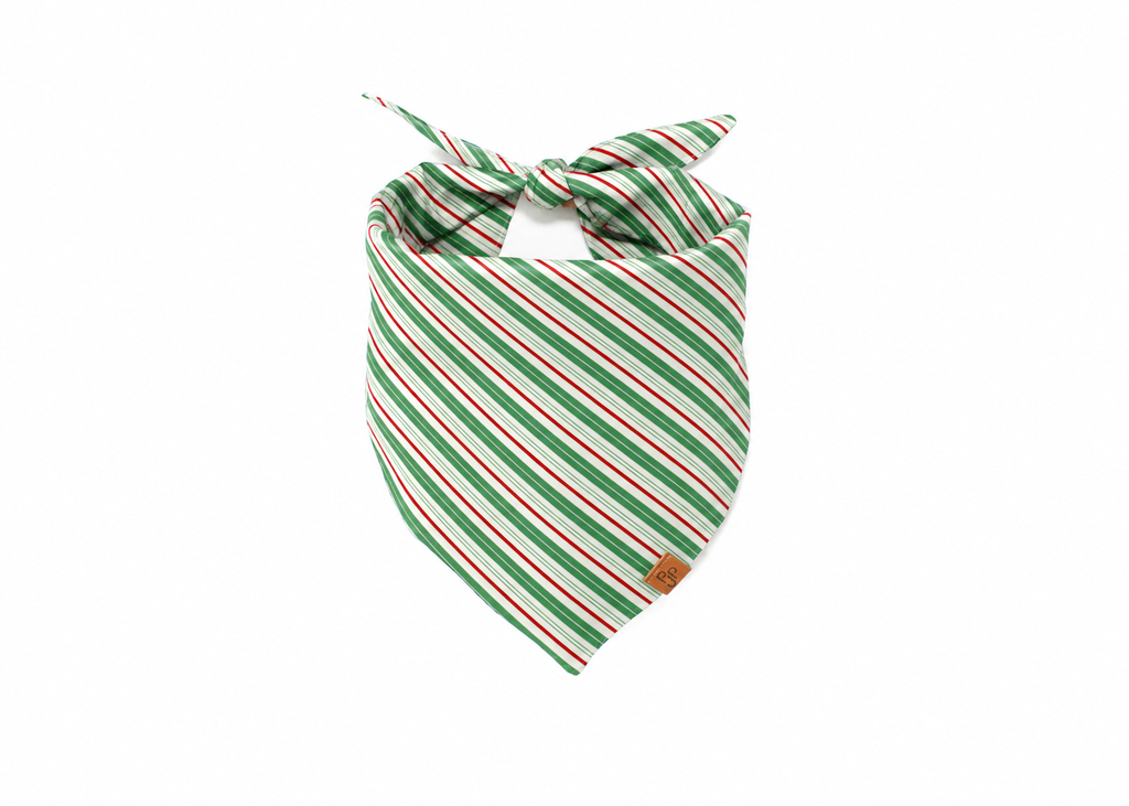 The Spearmint Stripe Bandana