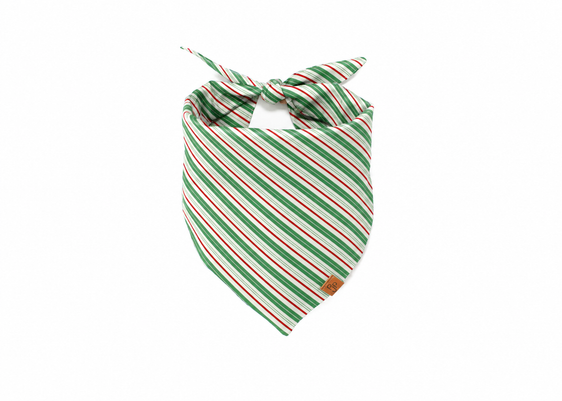 The Spearmint Stripe Bandana