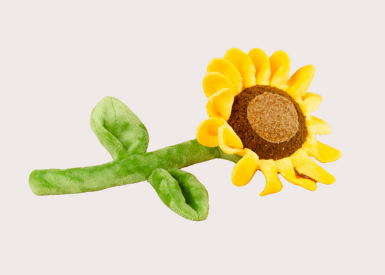Sassy Sunflower Toy