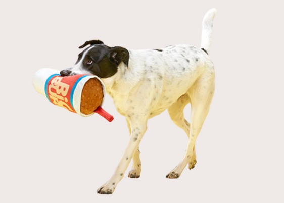 Big Burp Toy