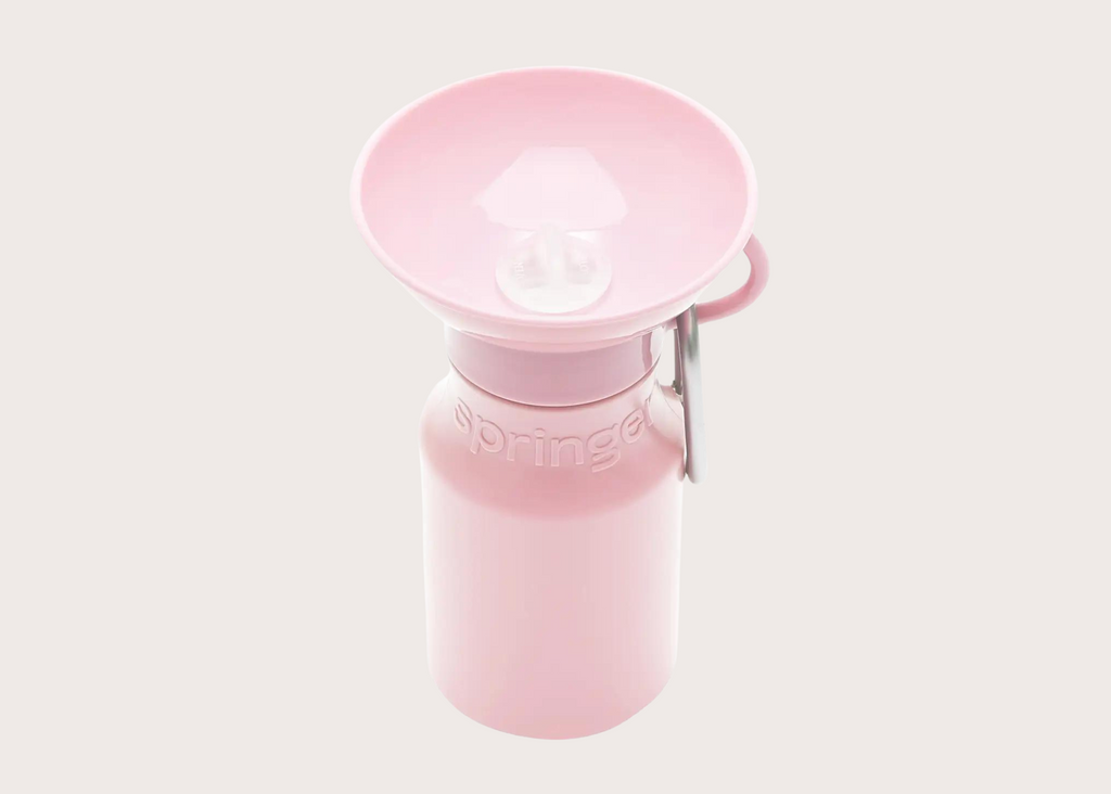 Mini Travel Water Bottle