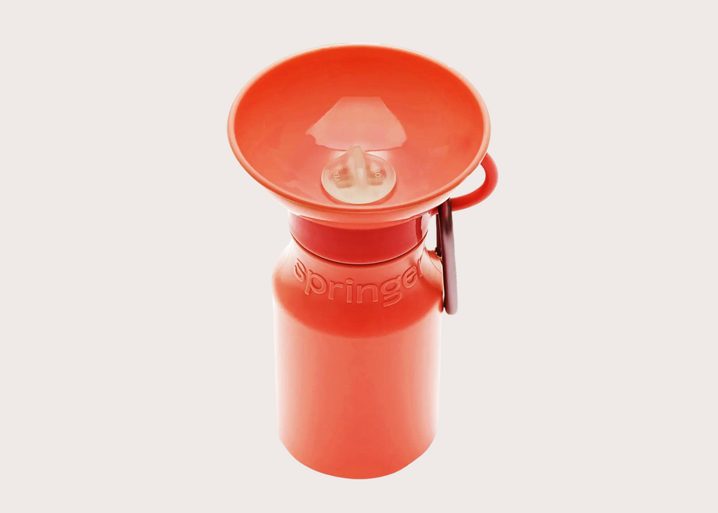 Mini Travel Water Bottle