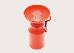 Mini Travel Water Bottle