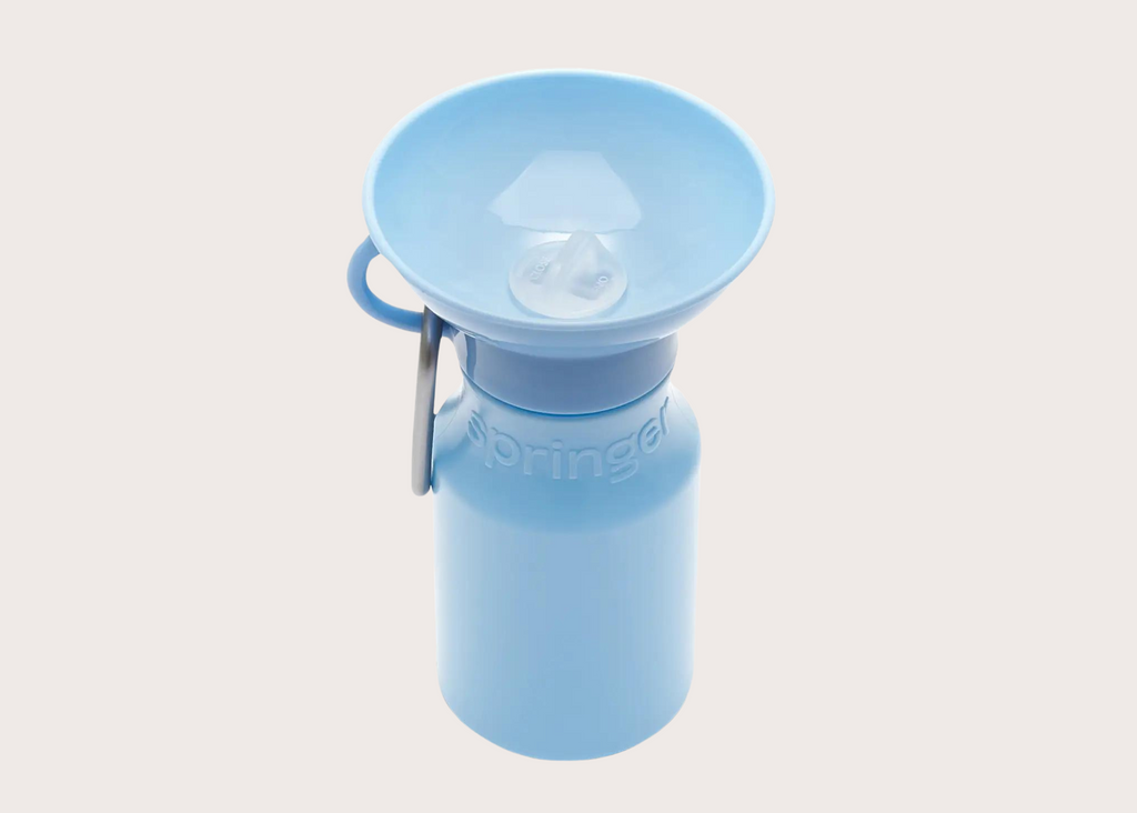 Mini Travel Water Bottle