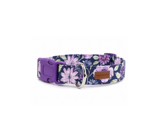 The Aelin Collar