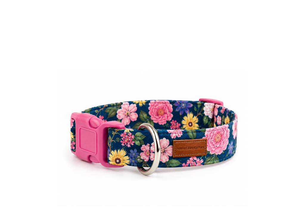 The Emerie Collar
