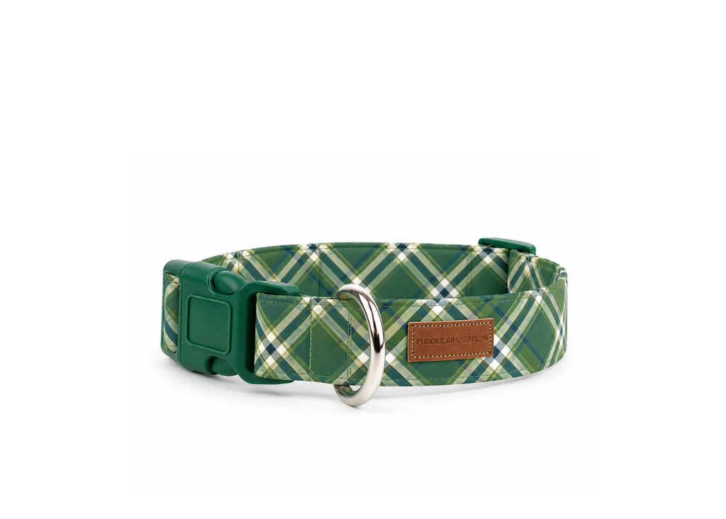 The Belmont Collar