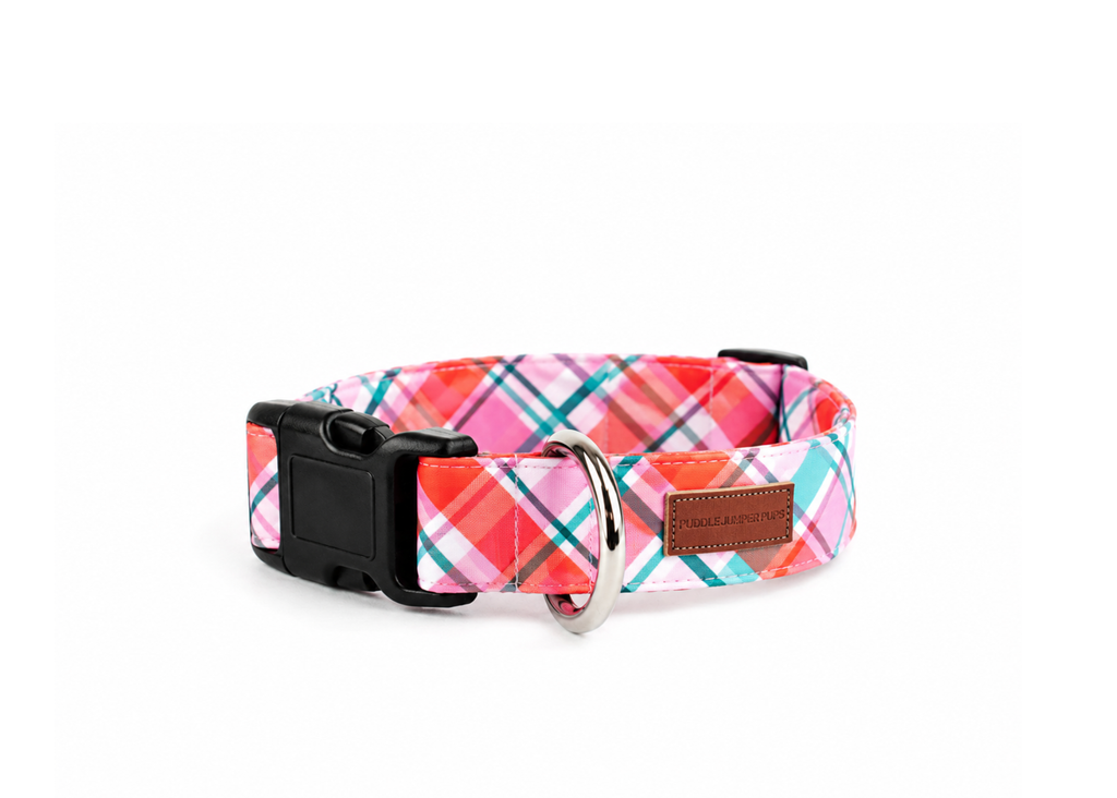 The Nova Collar