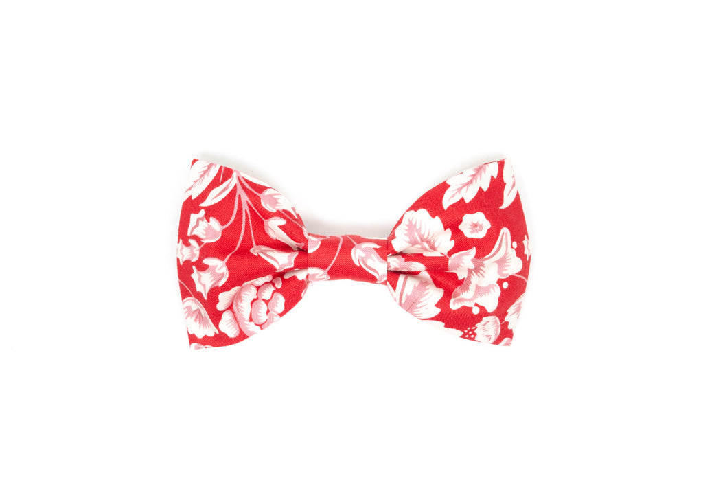 The Penelope Gentleman Bow