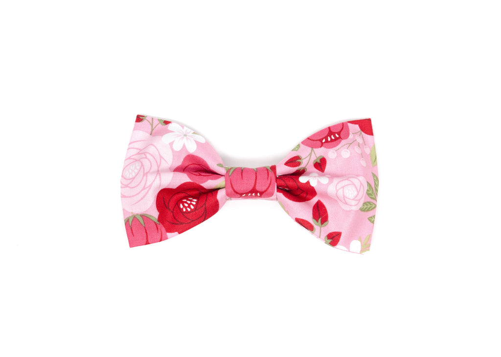 The Isabel Gentleman Bow
