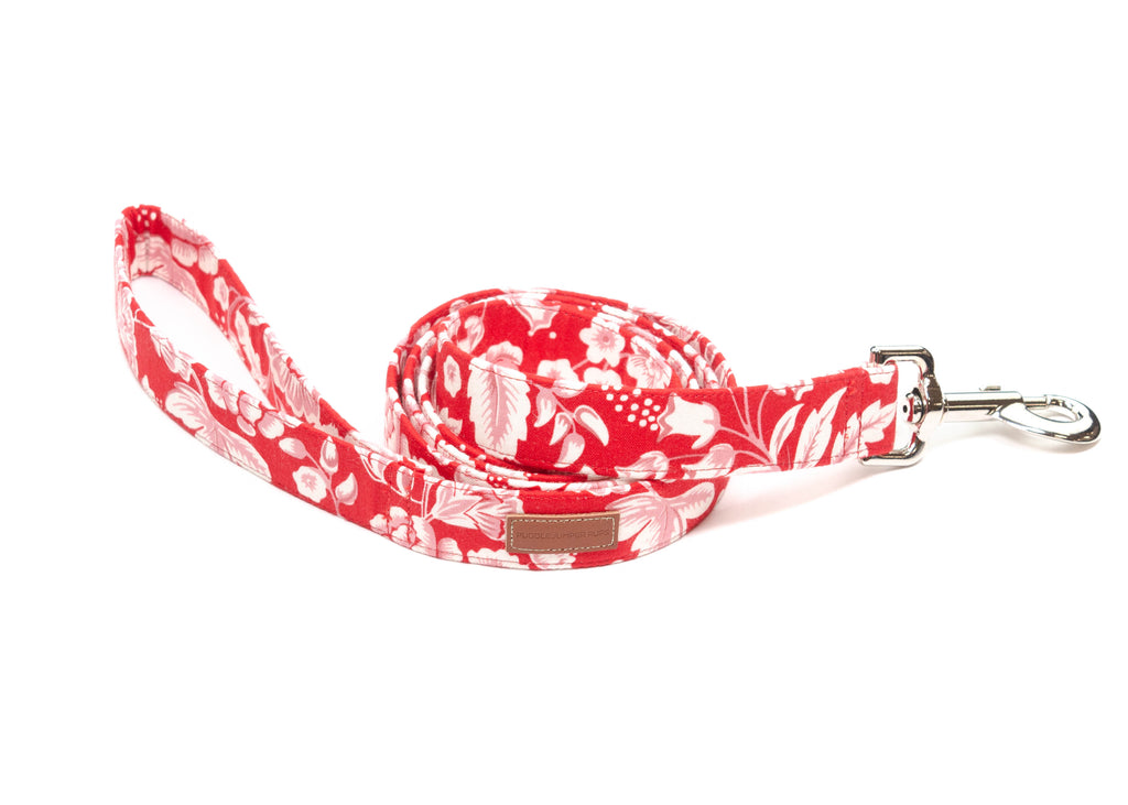 The Penelope Leash
