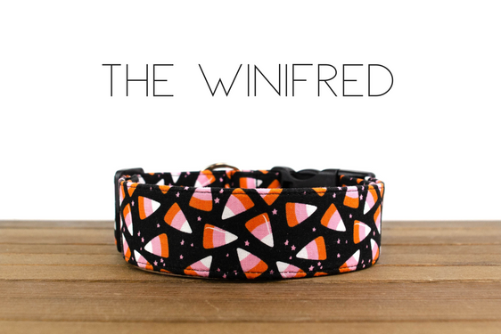 The Winifred
