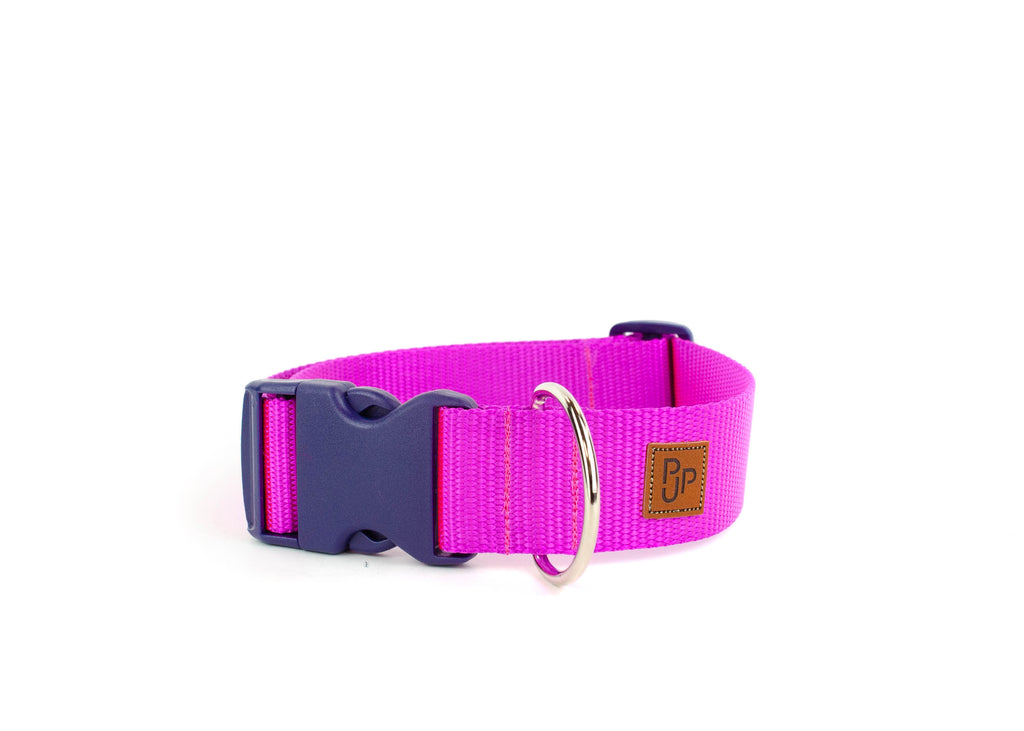 PJP Fetch Collar - Fuschia