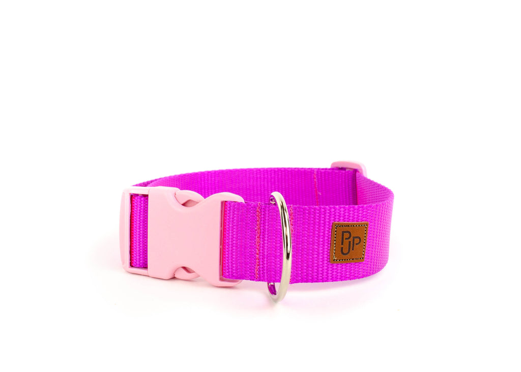 PJP Fetch Collar - Fuschia