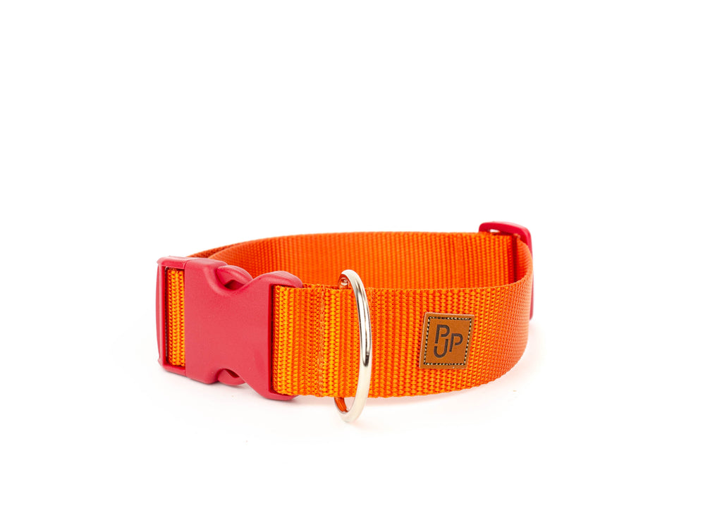 PJP Fetch Collar - Tangerine