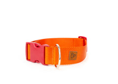 PJP Fetch Collar - Tangerine
