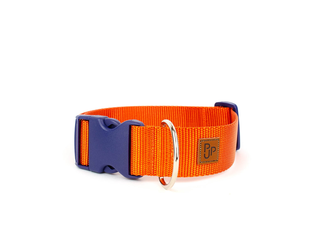 PJP Fetch Collar - Tangerine