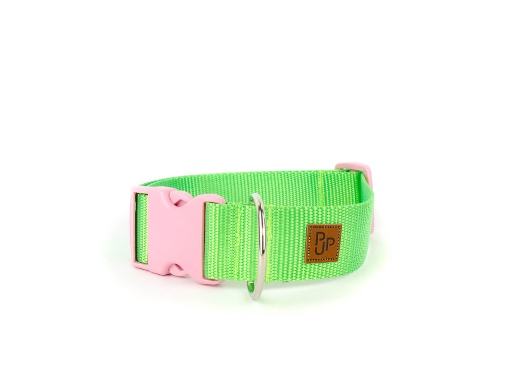 PJP Fetch Collar - Key Lime