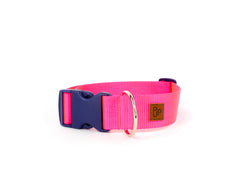 PJP Fetch Collar - Electric