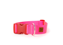 PJP Fetch Collar - Electric