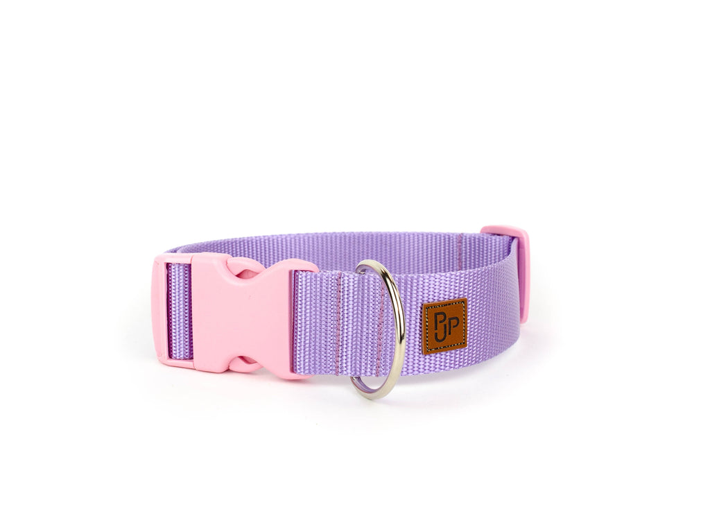 PJP Fetch Collar - Lilac