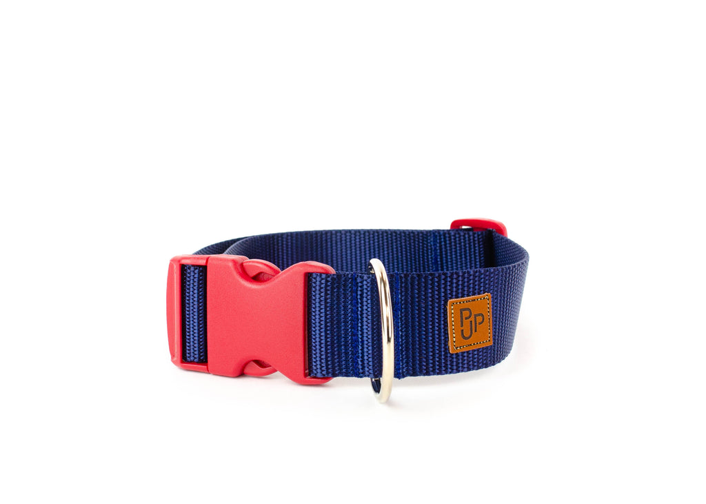 PJP Fetch Collar - Navy