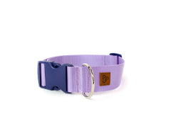 PJP Fetch Collar - Lilac