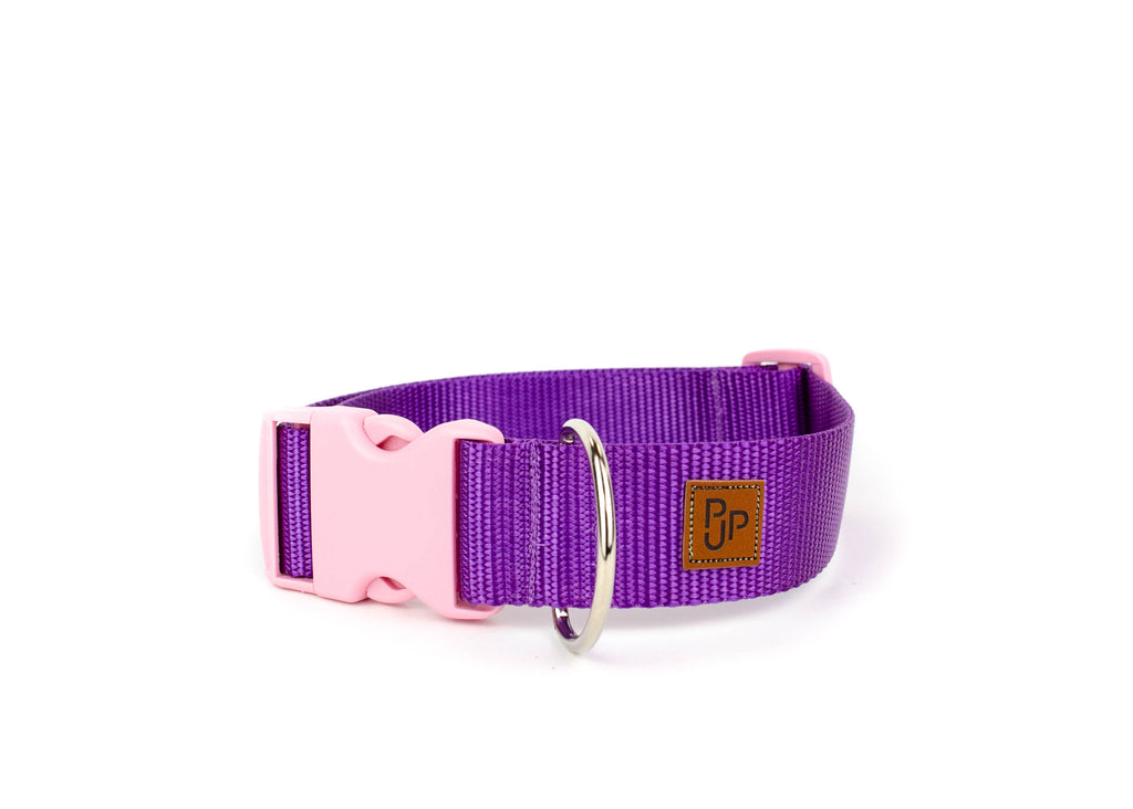 PJP Fetch Collar - Blackberry
