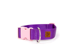 PJP Fetch Collar - Blackberry