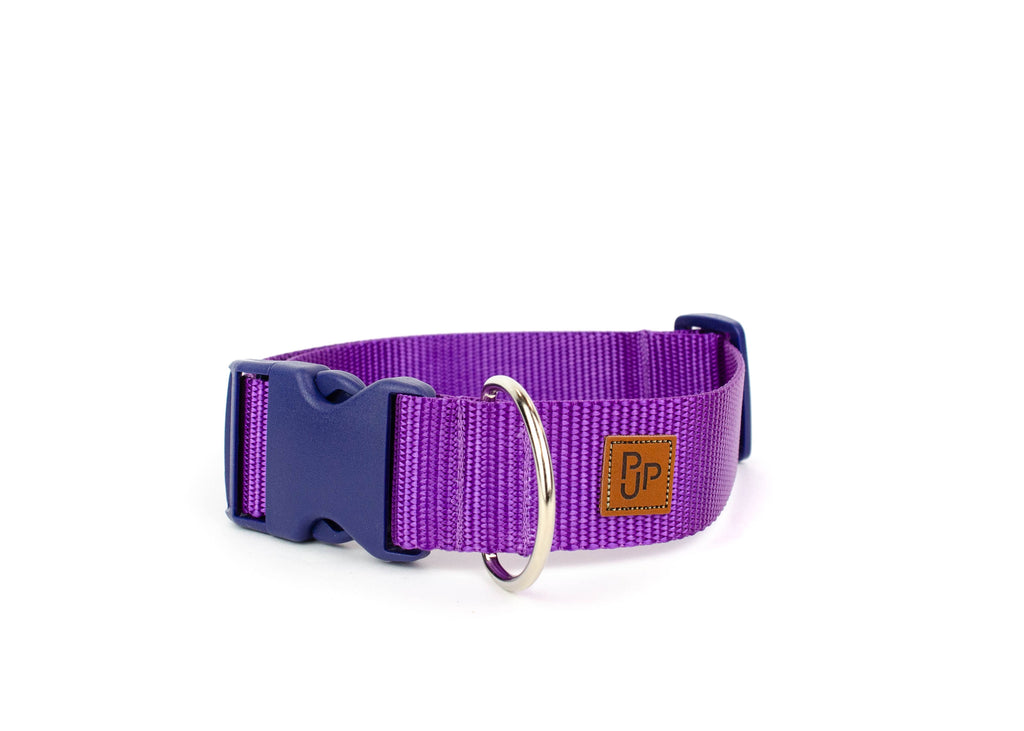 PJP Fetch Collar - Blackberry