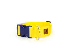 PJP Fetch Collar - Sunny