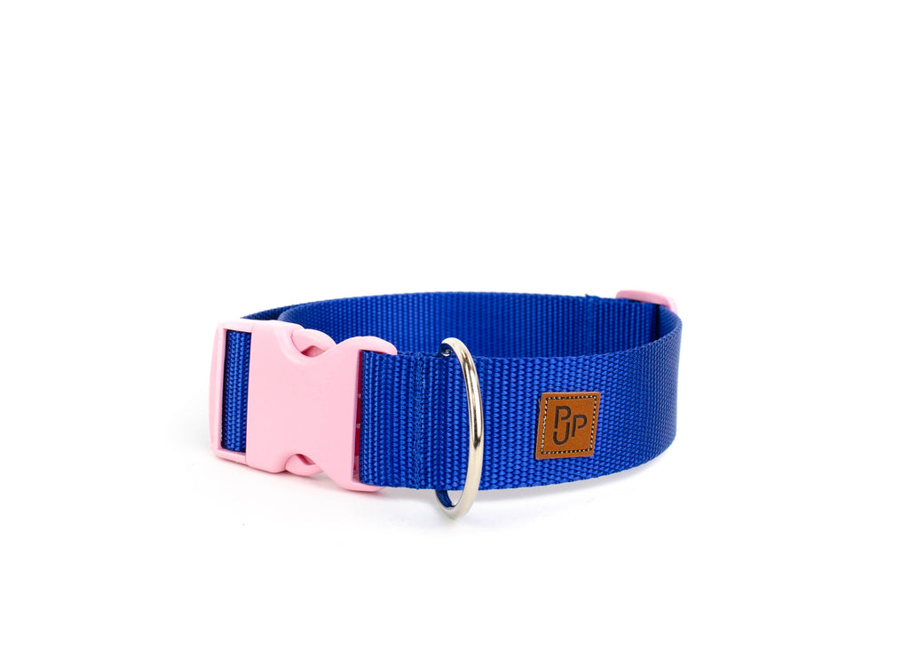 PJP Fetch Collar - Royal