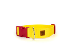 PJP Fetch Collar - Sunny