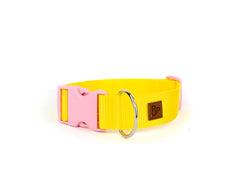 PJP Fetch Collar - Sunny