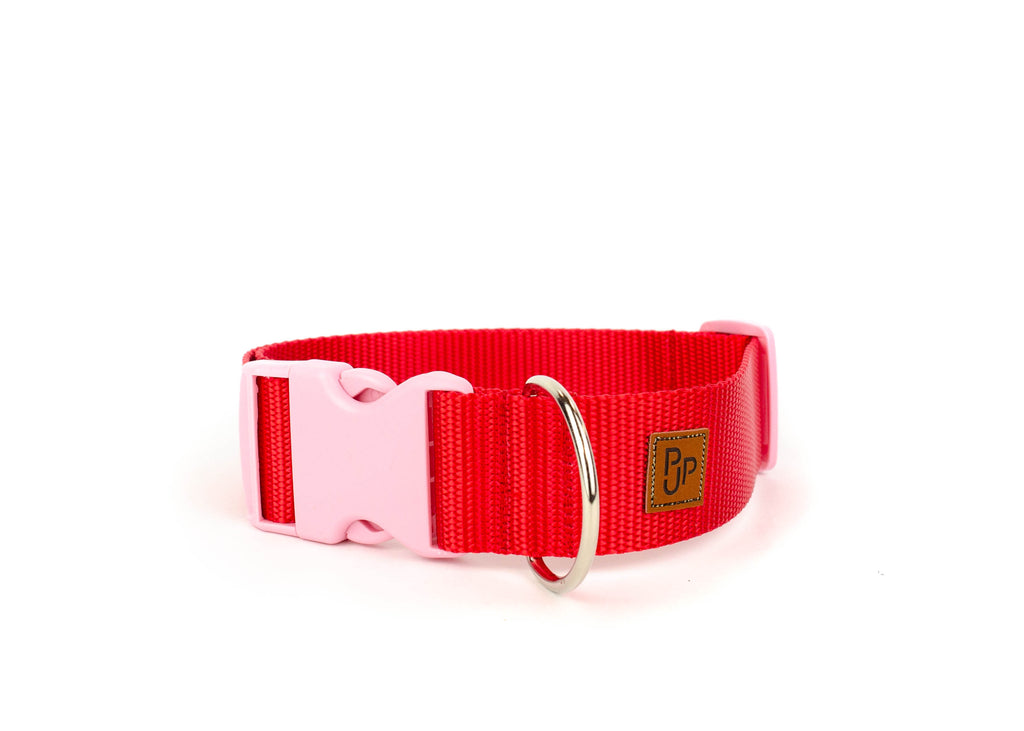 PJP Fetch Collar - Candy Apple