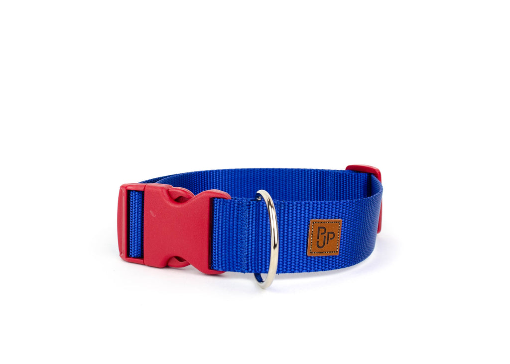 PJP Fetch Collar - Royal