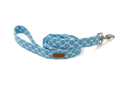 The Caspian Leash