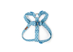 The Caspian Harness