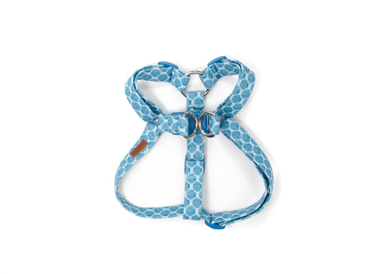 The Caspian Harness
