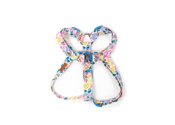 The Reef Harness