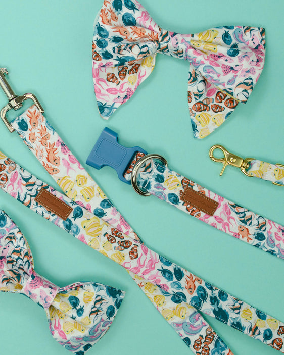The Reef Lady Bow